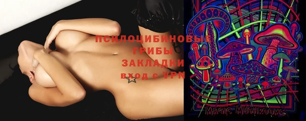 гидропоника Богданович