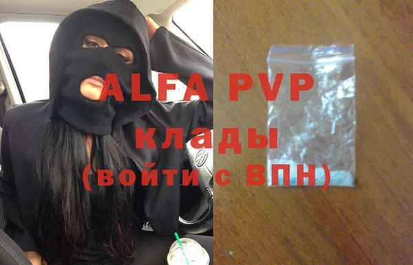 сатива Билибино