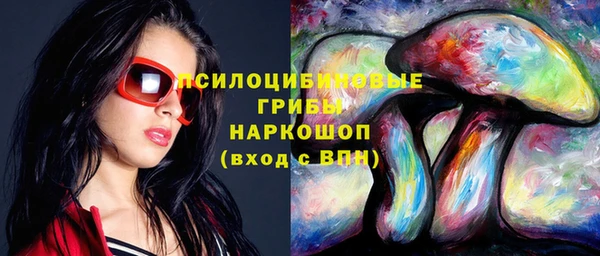 бутират Богородицк