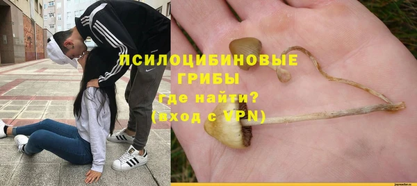 бутират Богородицк