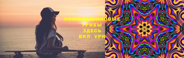 бутират Богородицк